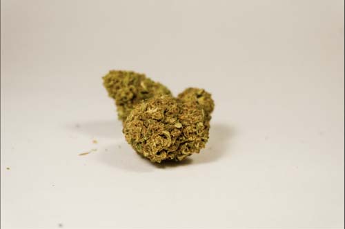 Jack herer pour 1 gramme